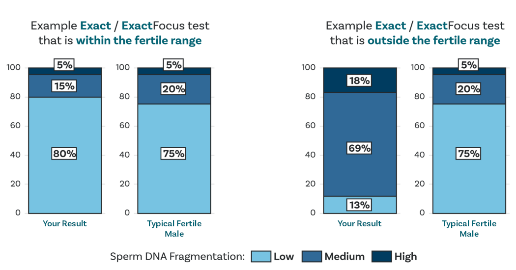 Exact chart dna fragmentation category