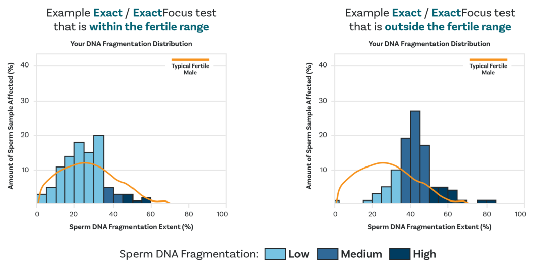 Exact charts showing DNA fragmentation distribution